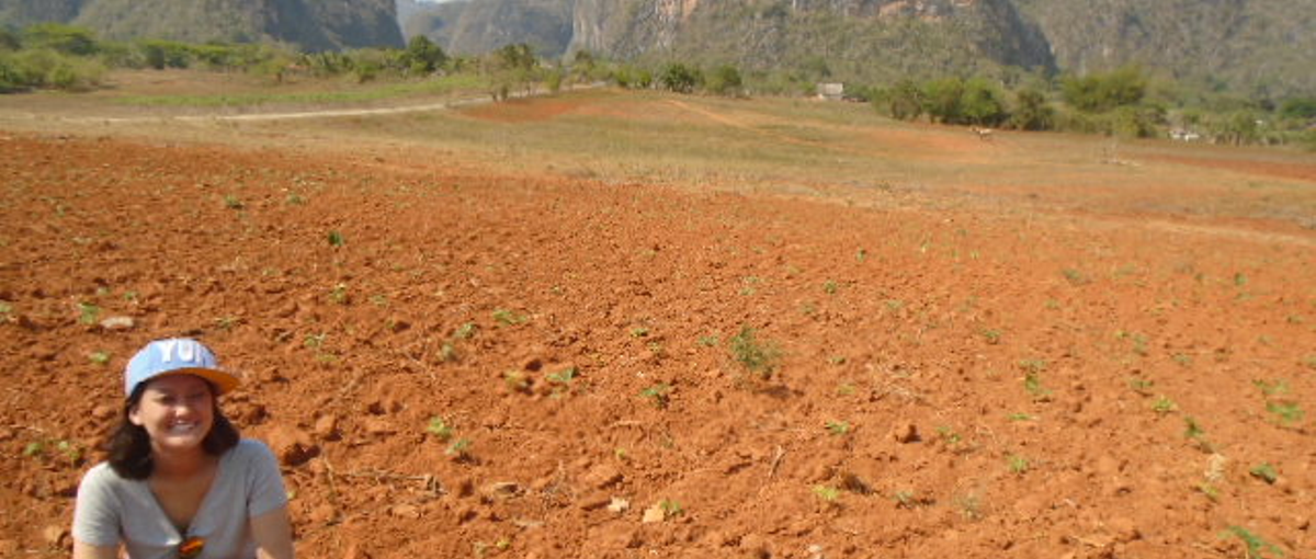 自分らしく、自由に。バックオフィス経験を生かして会社を支えてくれませんか？