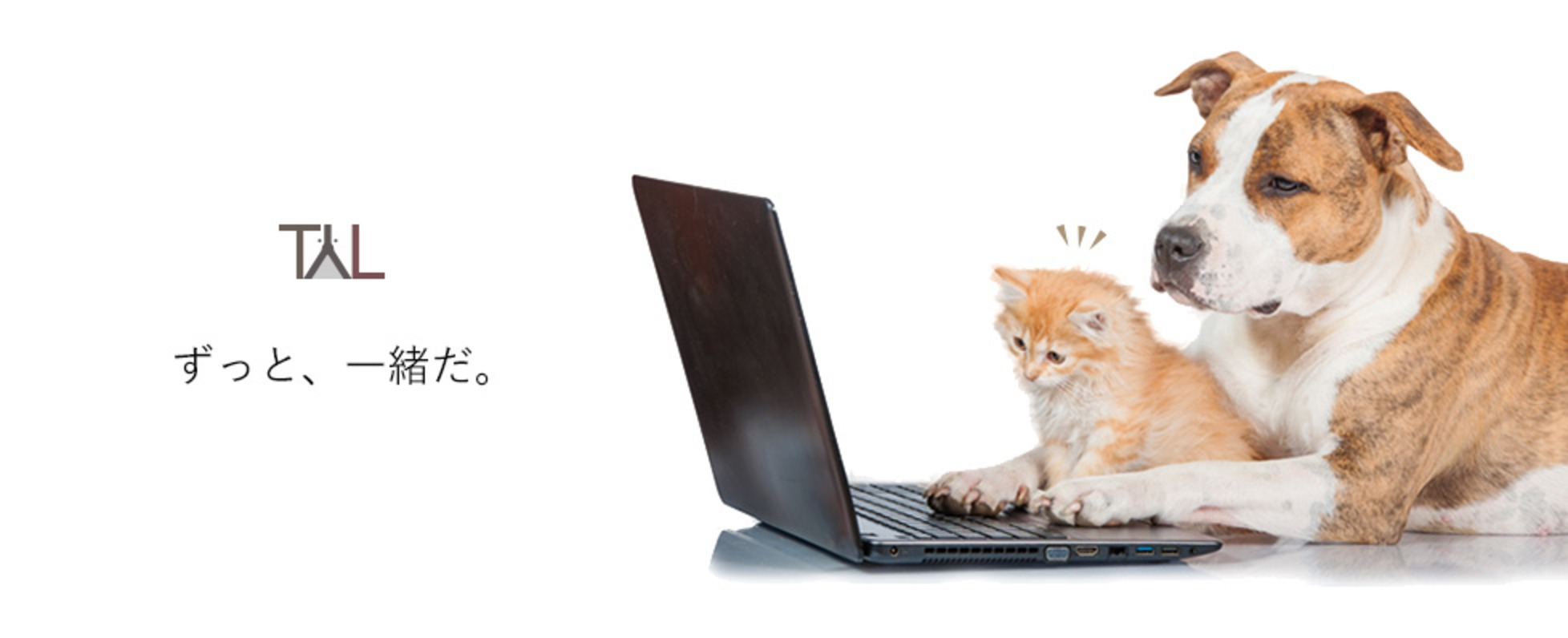 【もどかしさ】から【やりがい】へ。私がTYLへ入社した理由。