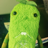 Midori Hirose Fukuzaki