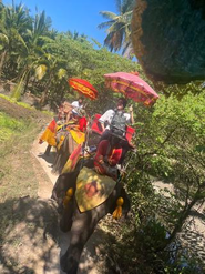 タイ研修で象乗り体験しました！