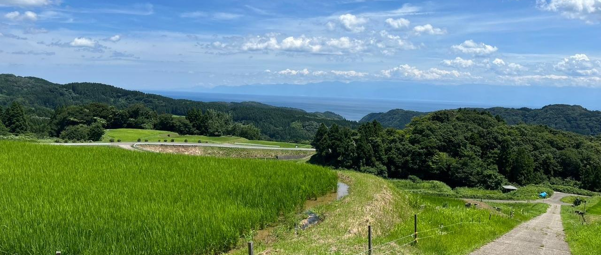 棚田を守り、地域を活かす。新規プロジェクトを0から。