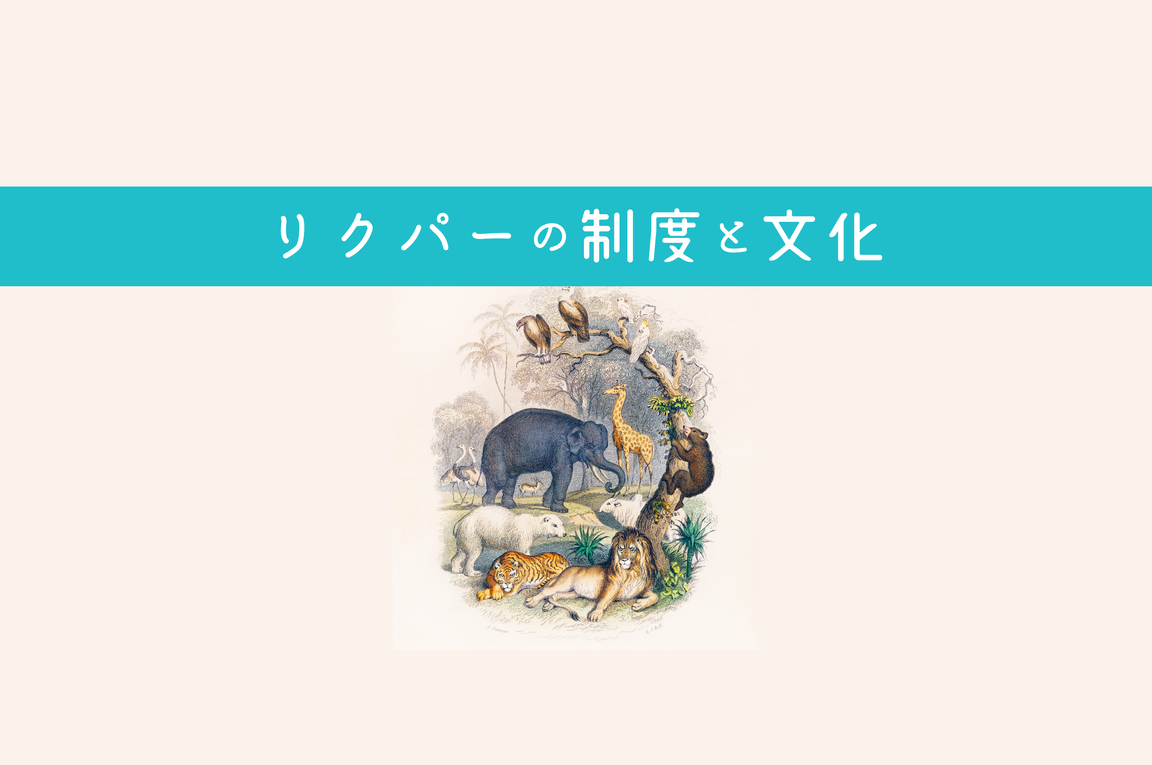 リクパーにキャリアパスなど無い!? カオスなキャリアの歩き方