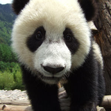 タナカ ノブマサ