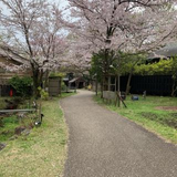山田  陽斗