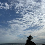 君野