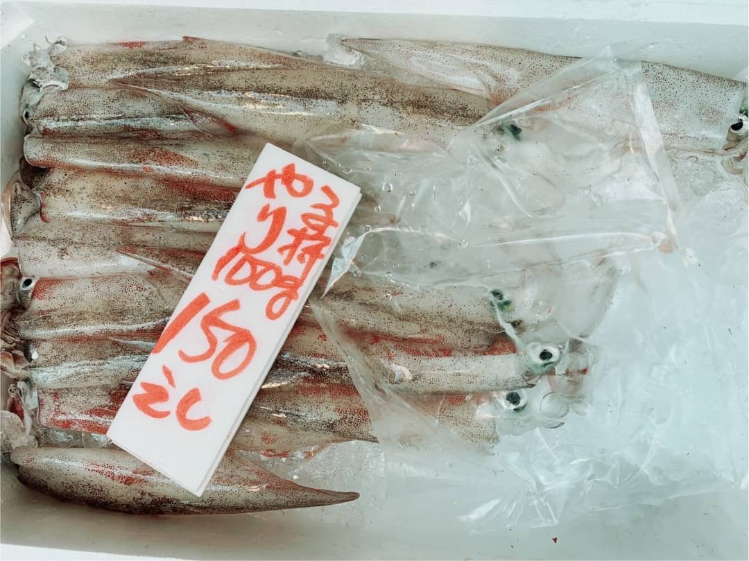 趣味　イカ料理の研究