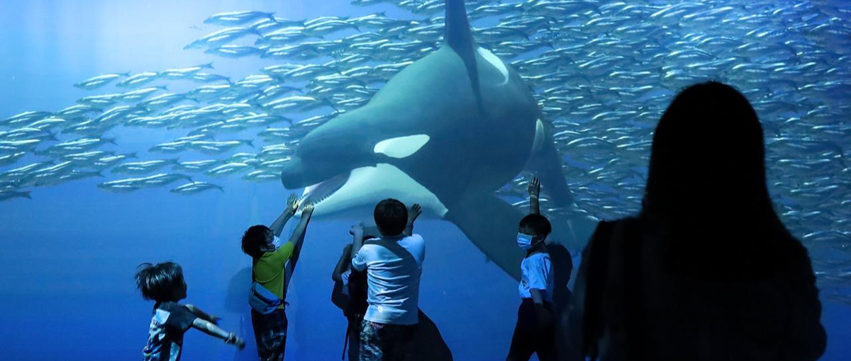 東京：ARやバーチャルコンテンツ、インスタレーションを担当！