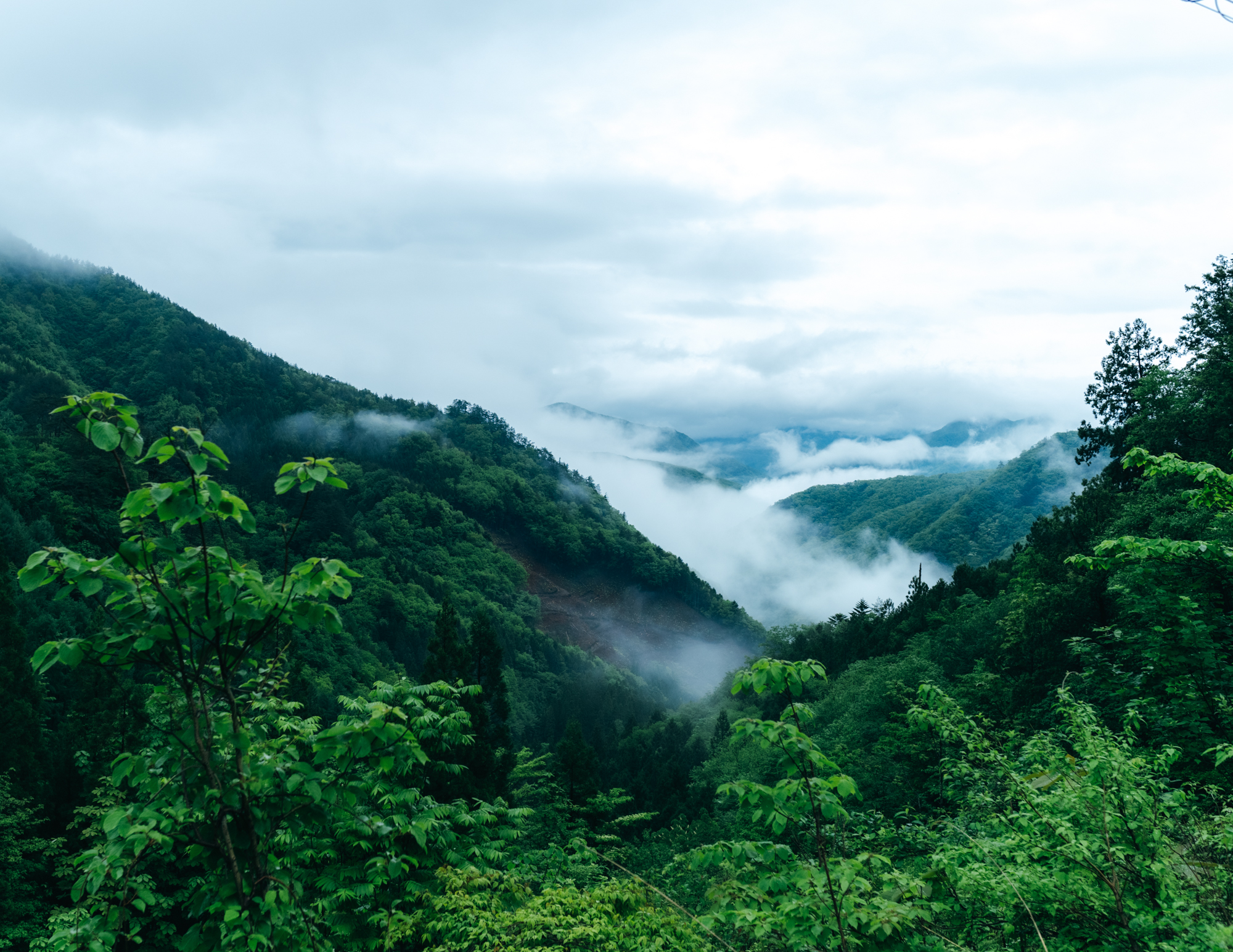 日本の未活用資源を価値に変える自然エネルギー”小水力発電”の取り組み