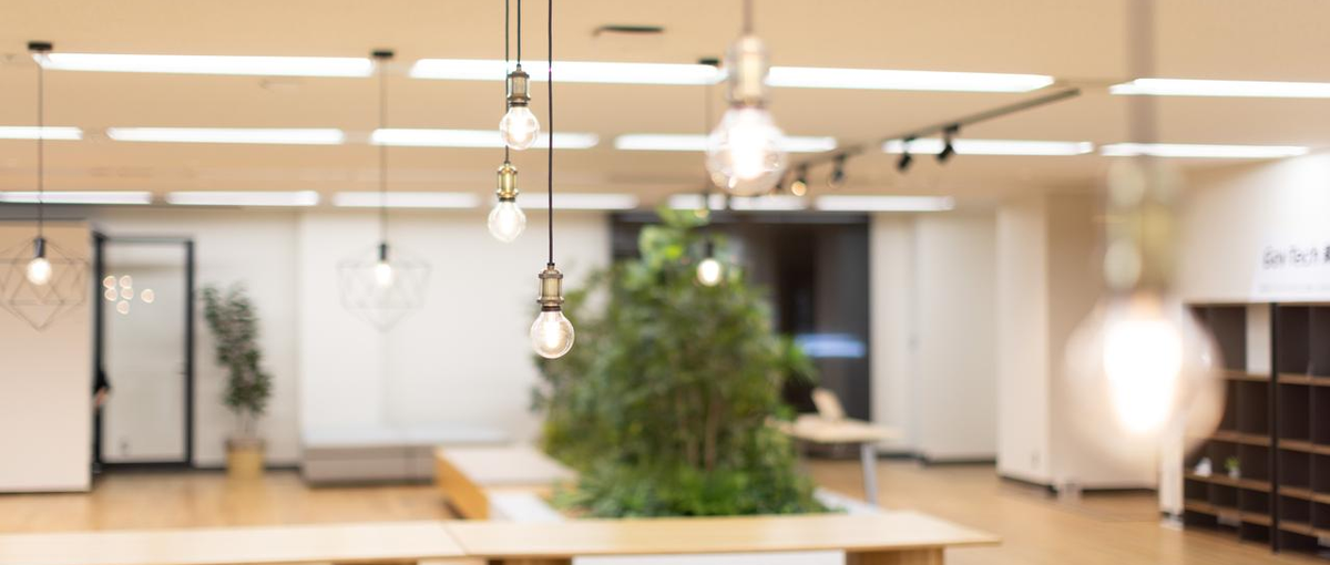 人材開発コンサル|行政×人材育成のメソッドを確立し自治体向けの戦略をリード