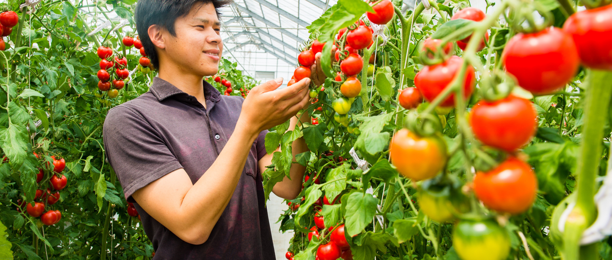 地方創生のカギ、データ活用農業の体現者をインターンで募集中！