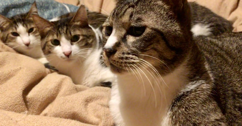 和気あいあいとしていなくても