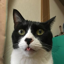 蓮沼 伶奈