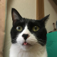 蓮沼 伶奈