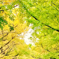 Mayさんのプロフィール