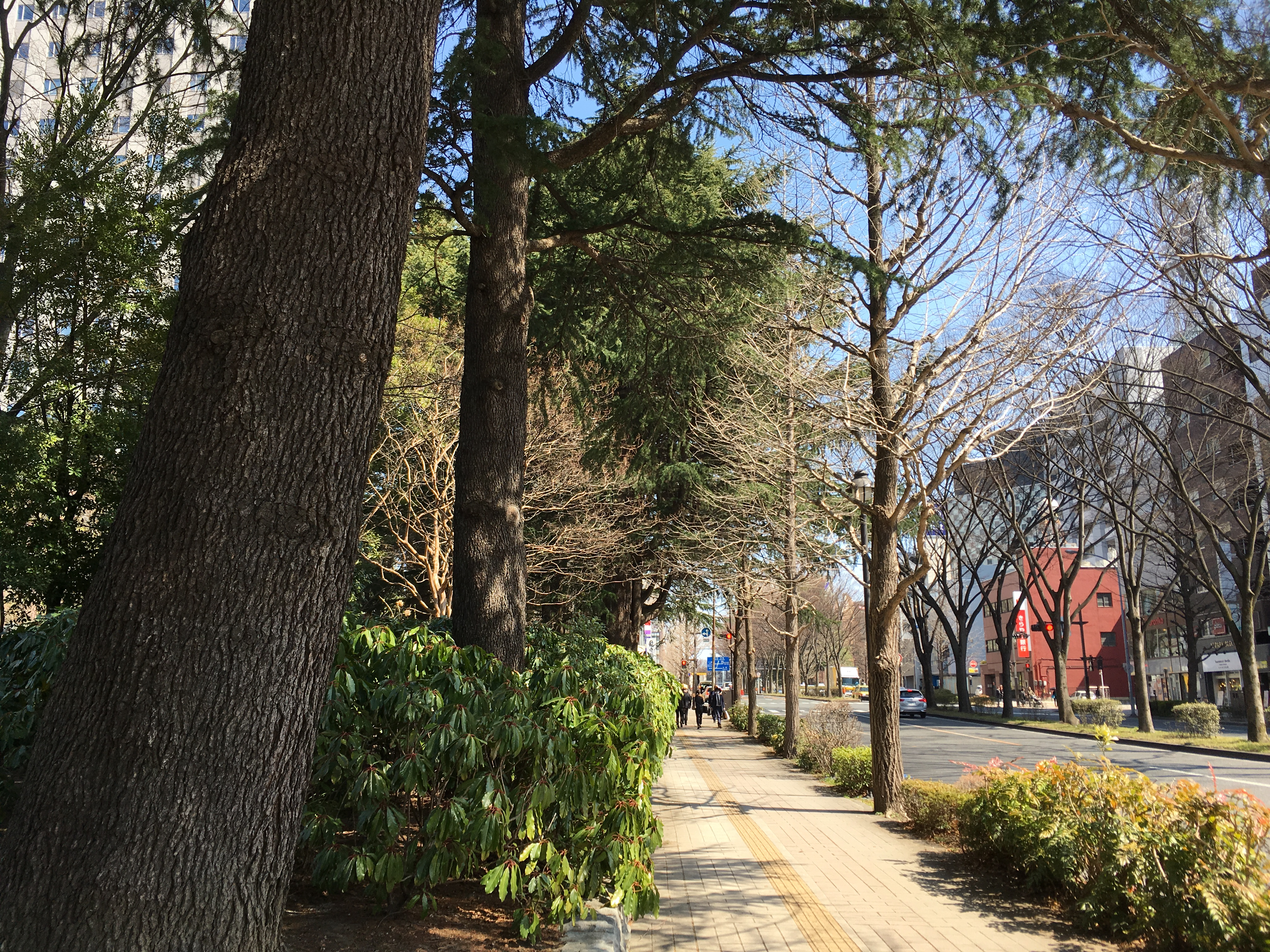 オープンから2か月が経過しました！仙台センターと今の私が想うこと。