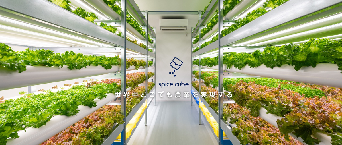 関西｜４人目メンバー募集中｜植物工場で社会課題解決｜組織づくり｜事業拡大