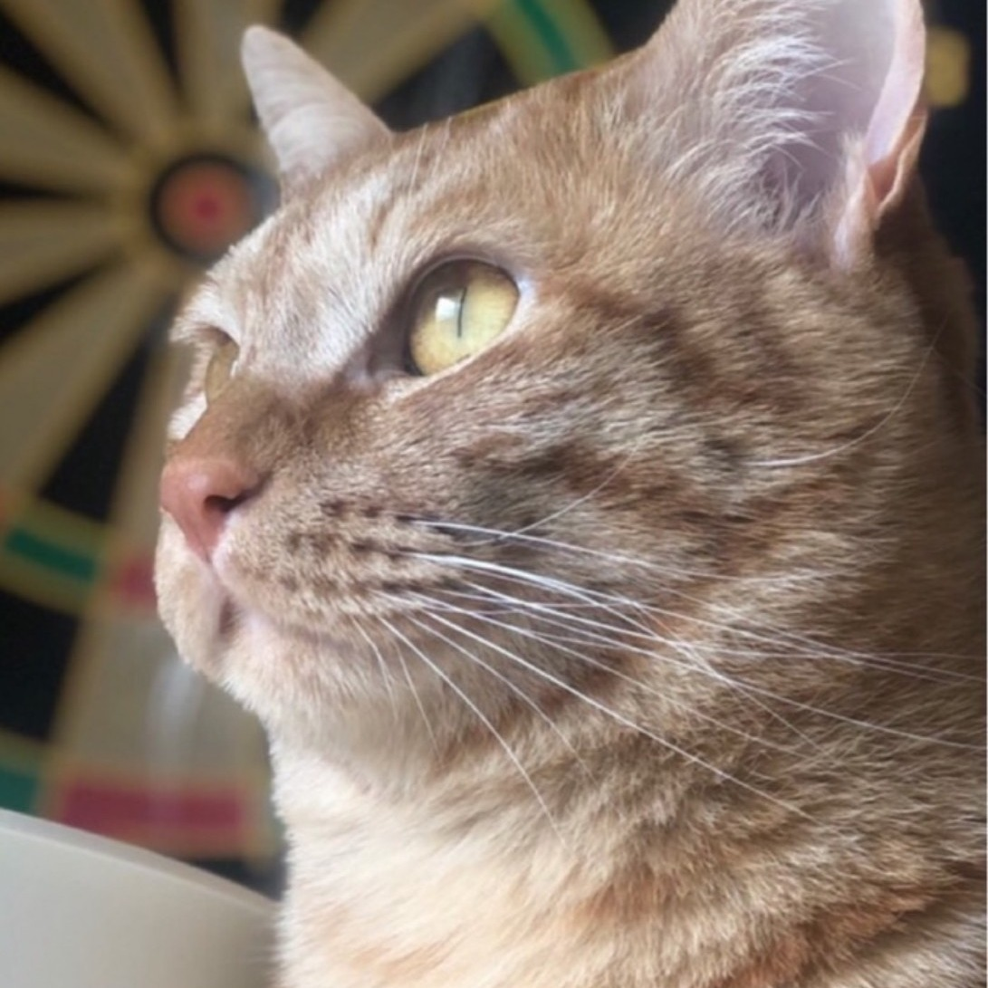 SO 大阪リーダー K・T