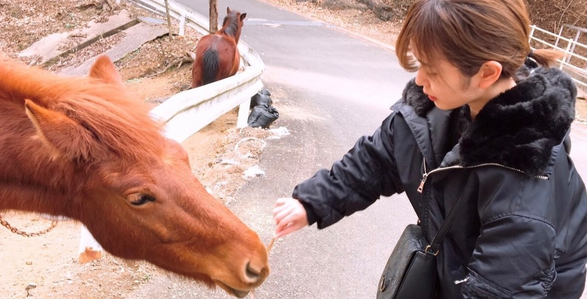 【社員インタビュー】進学のため島外へ出た私が、地元に戻りトラジェクトリーに入社するまで