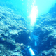 水野 翔