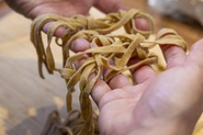 まきひげのパウダーを練り込んだパスタの開発