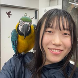 藤澤 來未