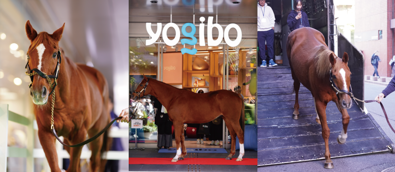 アドマイヤジャパン大阪上陸！！2日間で約1万人を動員したイベントの裏側・・・