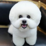 中井 宏和