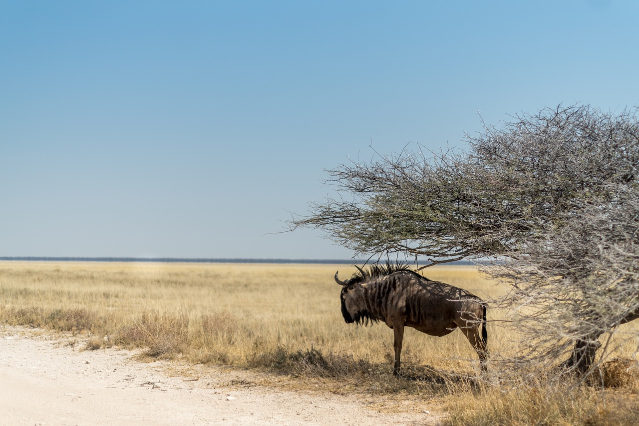 「すべてのユーザーがシステムを使いこなせる世界」を目指すQAエンジニアの入社エントリ