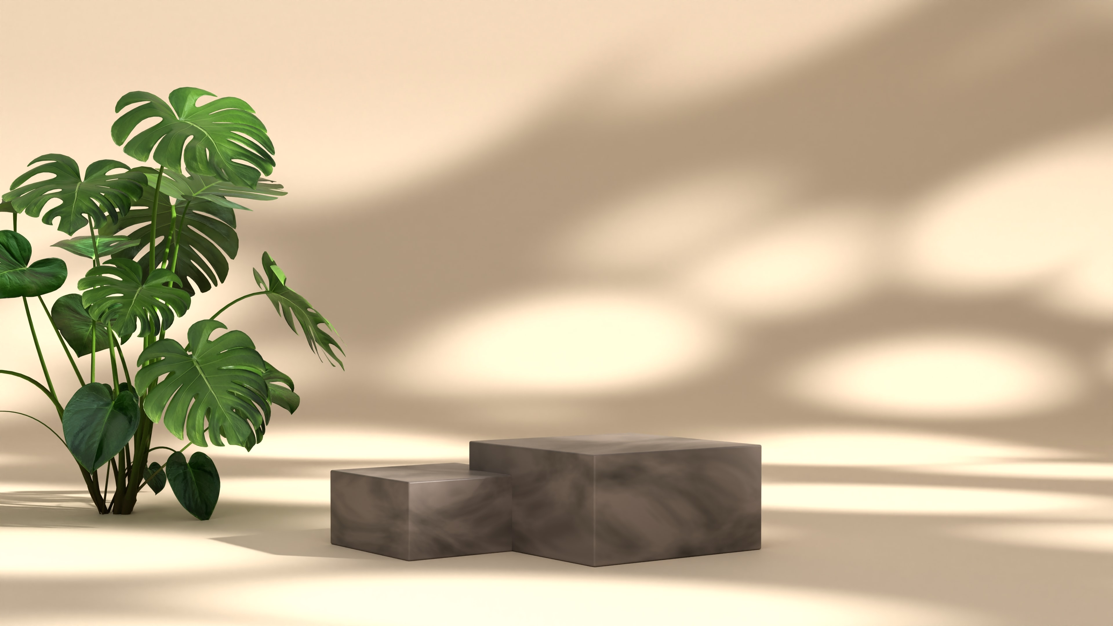 創業ストーリー