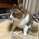 kenta kido