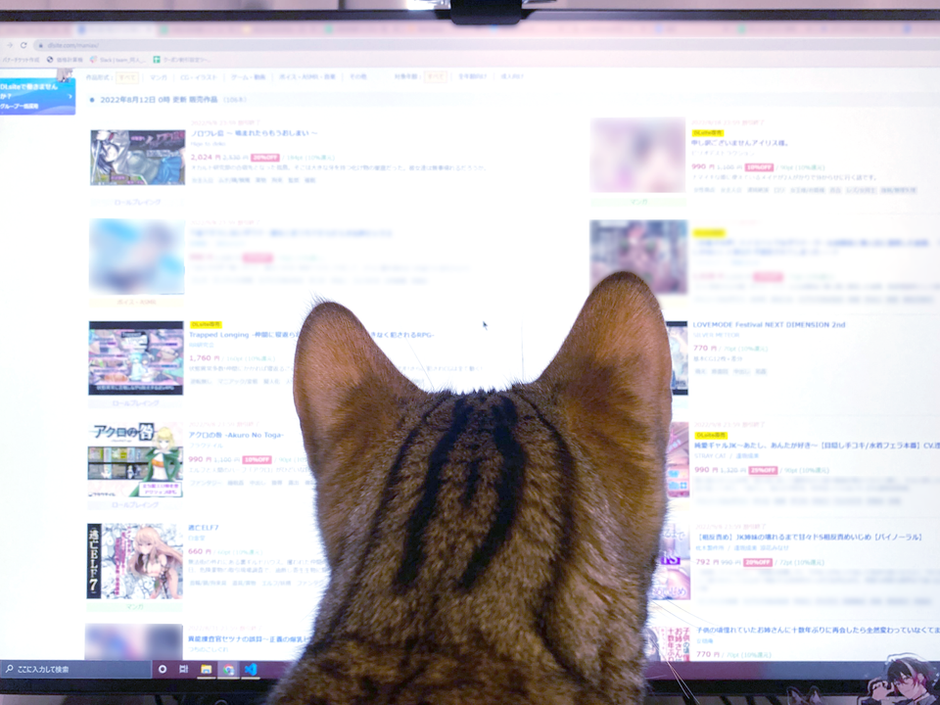 猫編】にゃんこ大集合！viviON社員はネコチャンの奴隷が多い