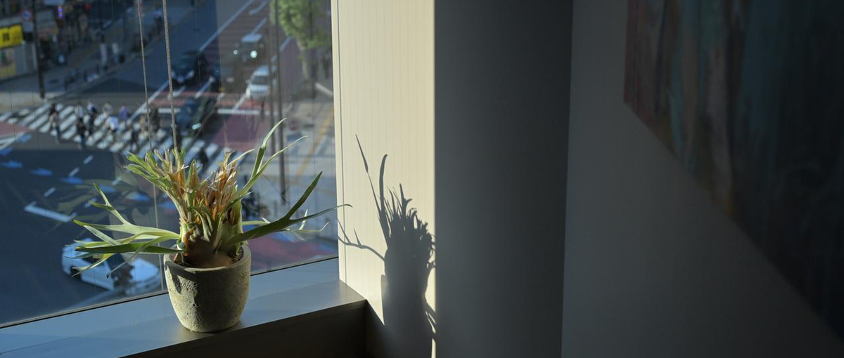 ブランドの意志を起点に、SNSで世界観を育むクリエイティブディレクター募集