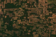 Image: Deforestation in Paraguay