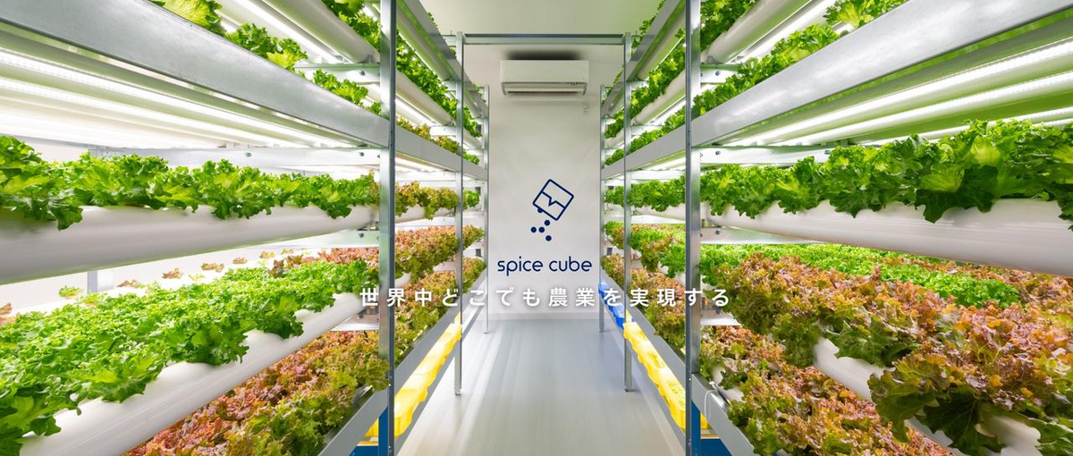 大阪｜農業×営業｜都市型植物工場で新しい農業のあり方を広めるメンバーを募集