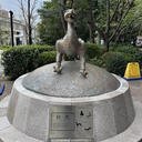 Sakura Terayama