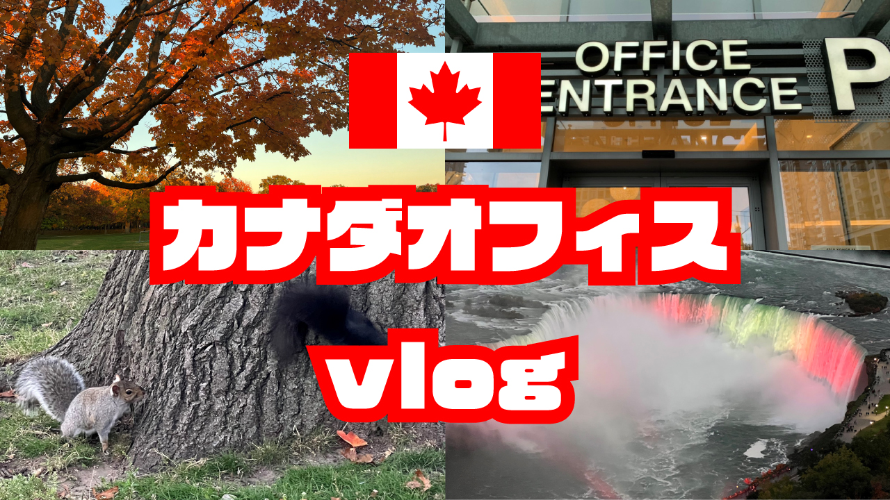 【カナダオフィス】2年目 インフラエンジニア の 海外研修 vlog【オンタリオ州】