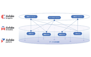 SERVICE STRUCTURE