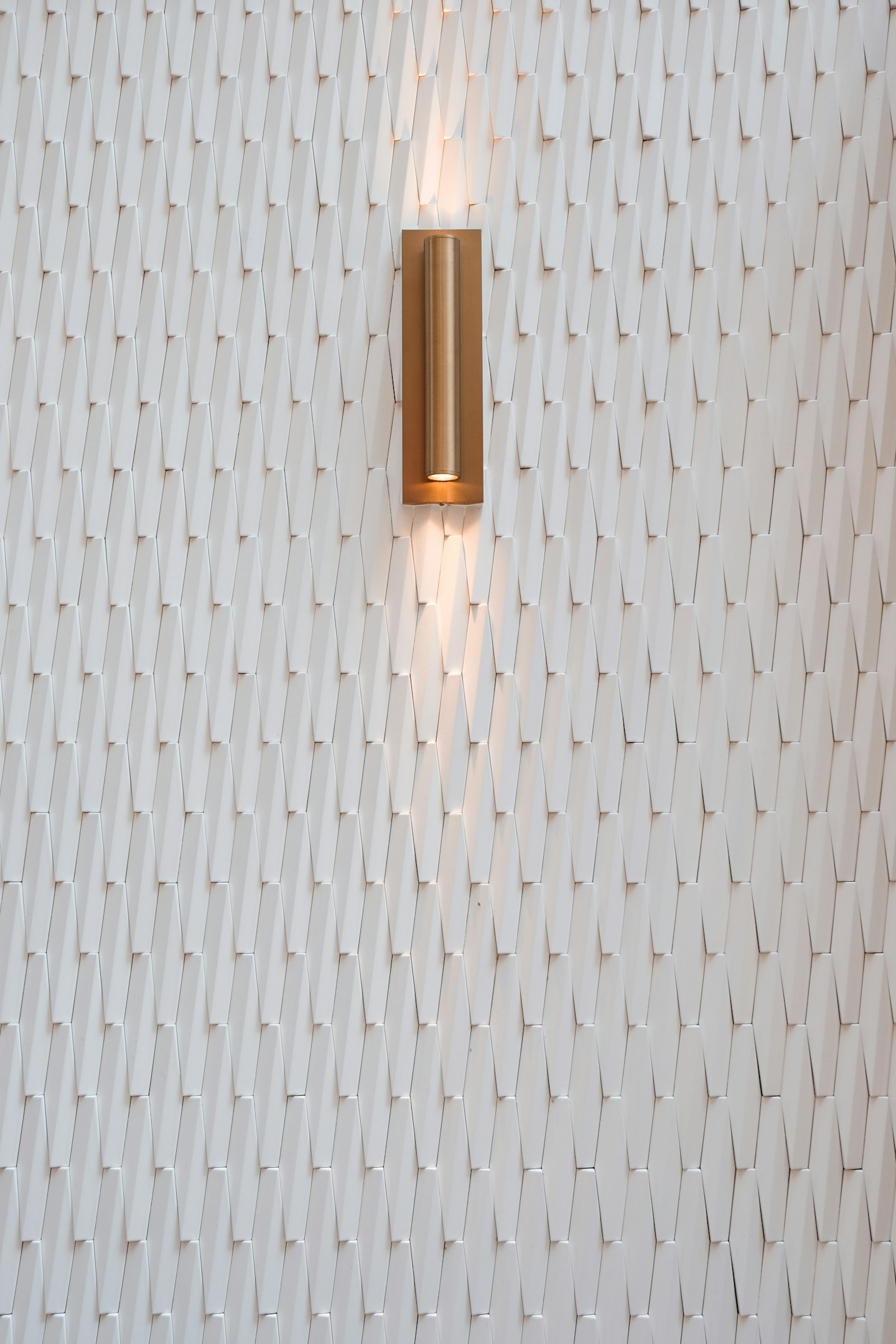 🔬【国立大学との共同研究成果のご報告】