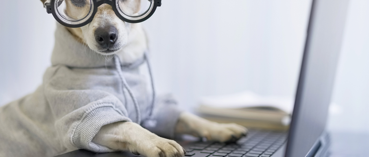 エンジニアになりたい方募集！スクール卒、異業種、経験のない方大歓迎！