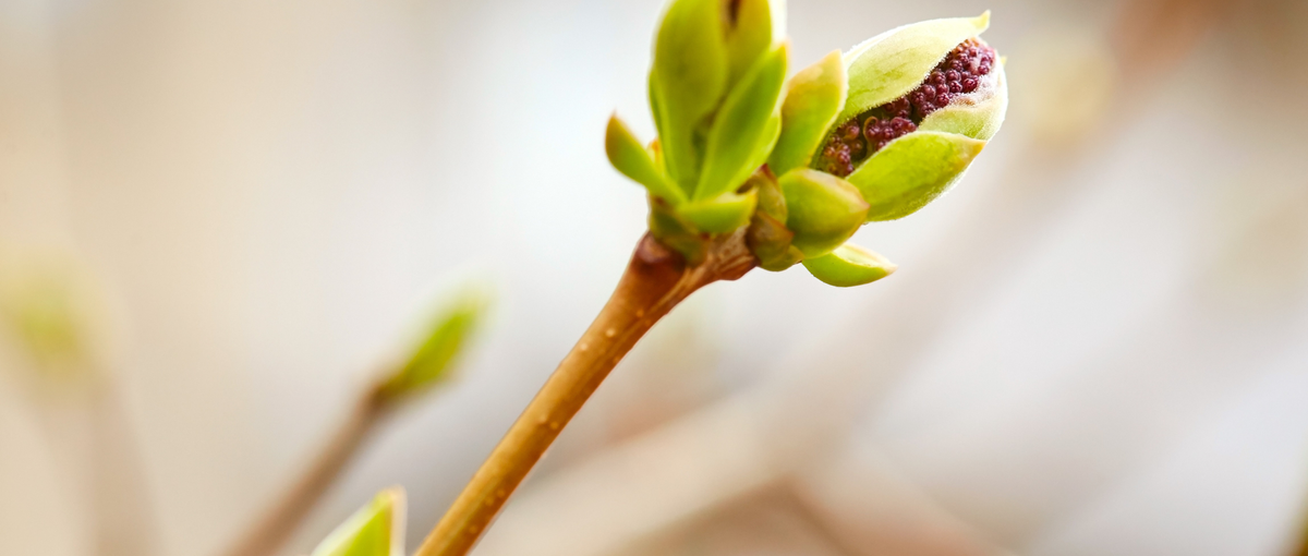 早期インターンで、ひと足先に社会と向き合う経験を