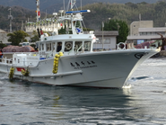 魚を探す灯船