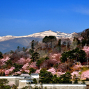 髙橋　久美子
