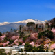 髙橋　久美子