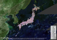 アプリ上で集まった生物分布ビッグデータ。日々膨大な数のデータがユーザーの皆様から寄せられ、リアルタイムに更新されています。