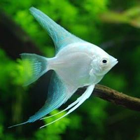 竹内 美奈子さんのプロフィール