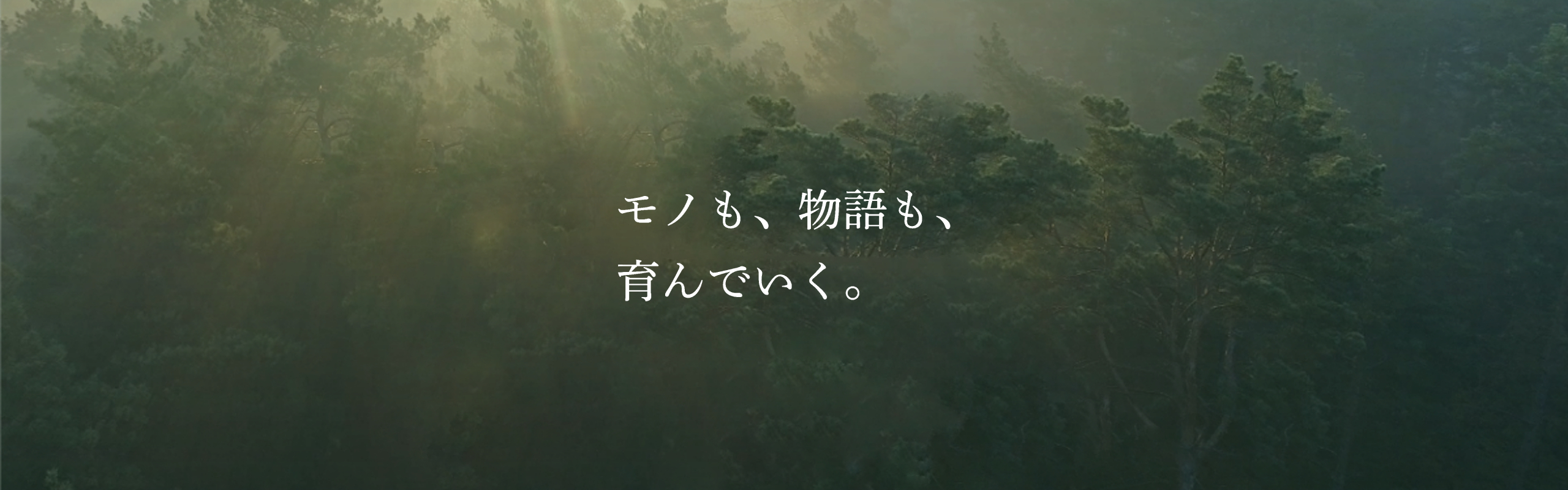 日本で「Eコマース承継事業」を立ち上げた理由