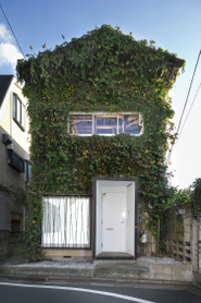 Home／新オフィスは蔦の家。ジブリ感が満載です。