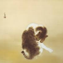 akiko nabeshima