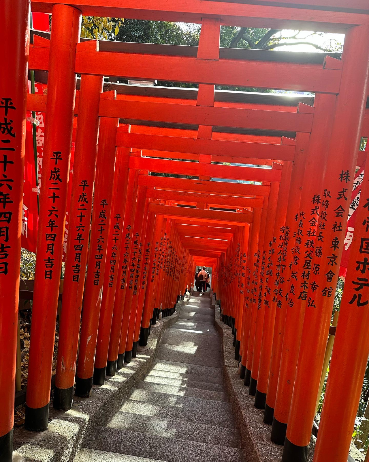 【2023年】飛躍の年へ🐰