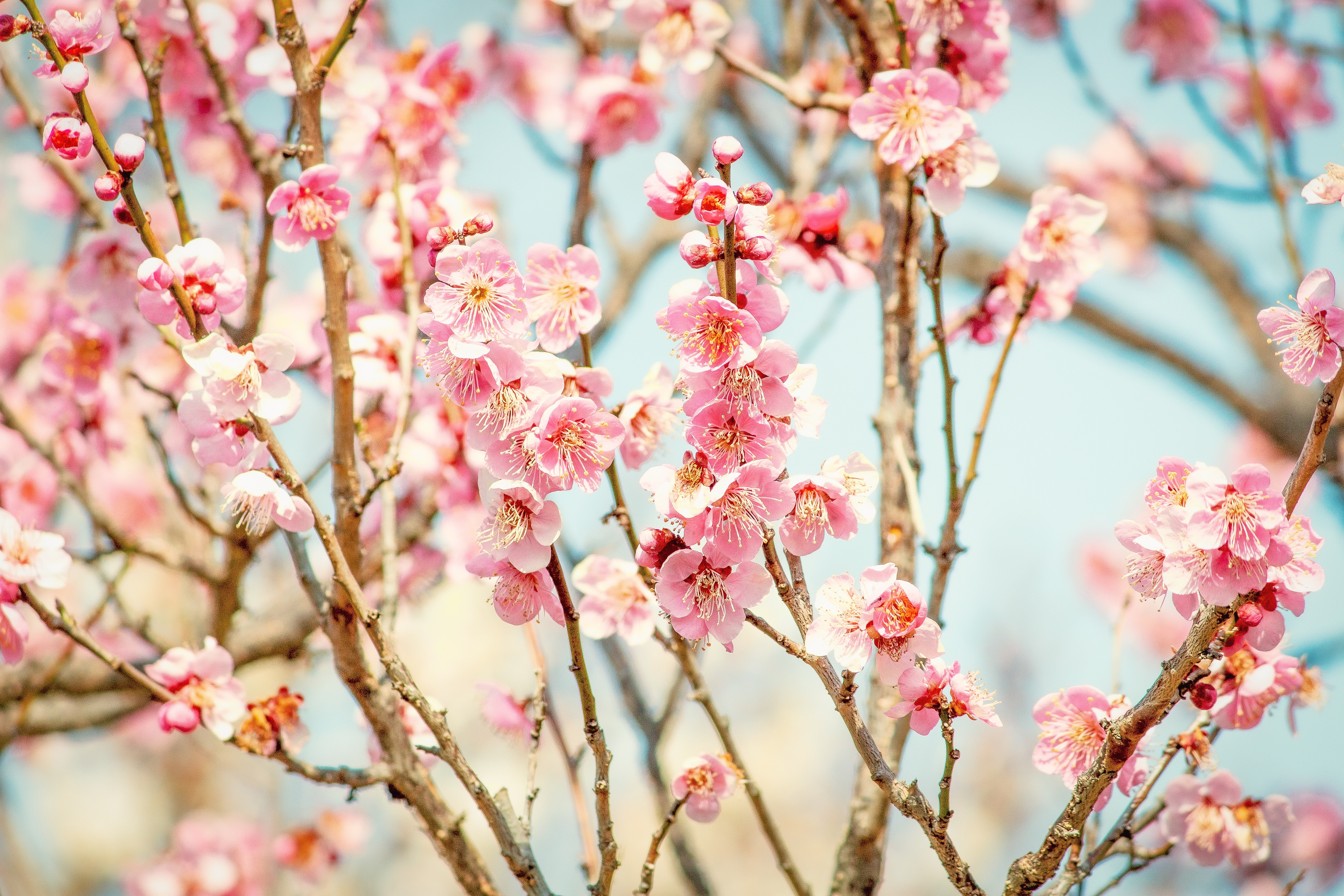 情報技術で社会貢献出来る人を増やしたい！〜だってITって面白いじゃん〜
